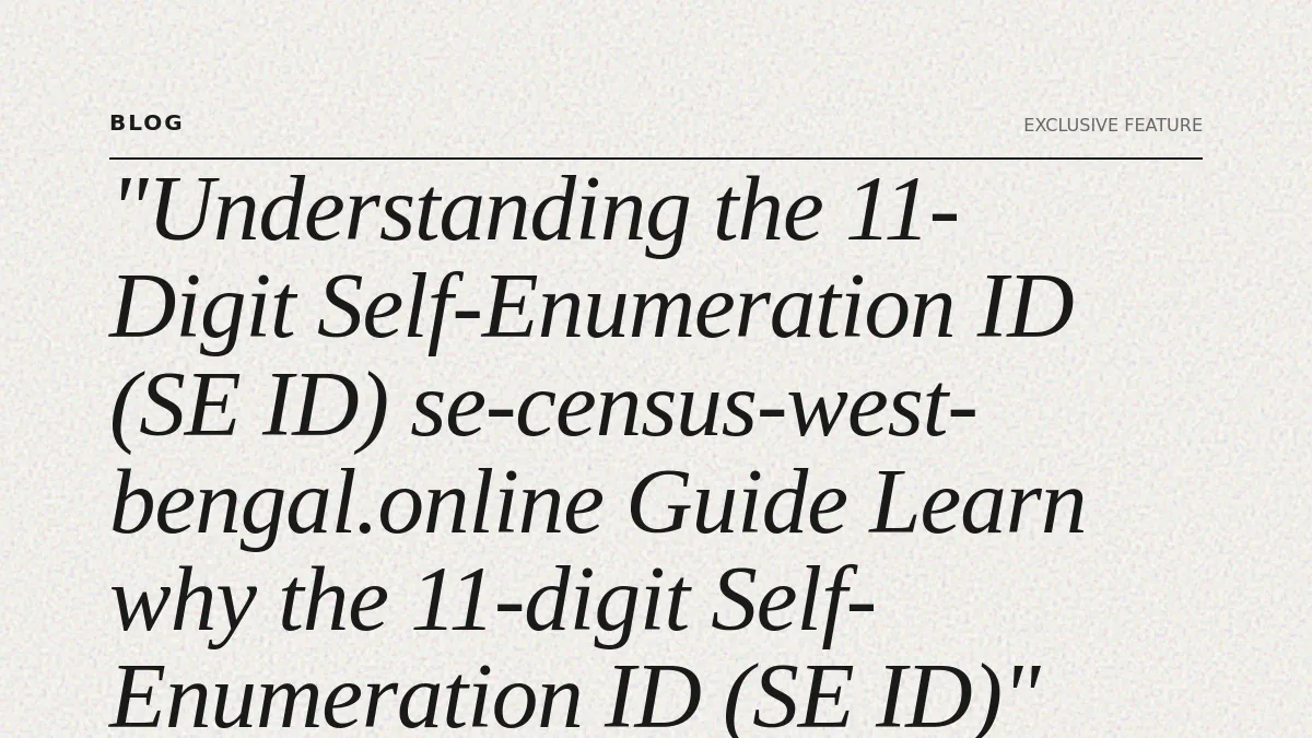 Understanding the 11-Digit Self-Enumeration ID (SE ID)